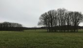 Tour Wandern Maaseik - Wandelen in de Duinengordel - Photo 6