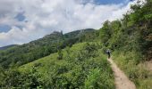 Tour Wandern Rappoltsweiler - Les 3 châteaux de Ribeauvillé - Photo 1