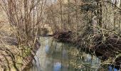 Tocht Stappen Hannuit - La promenade de la Mouhagne  - Photo 6