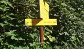 Trail Walking Bourg-Saint-Maurice - les Chapieux, refuge de la croix du bonhomme et crête  - Photo 1