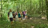 Tour Wandern Gézoncourt - Gézoncourt - Petite Suisse - Photo 2