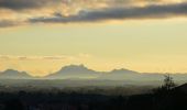 Tocht Stappen Roquebrune-sur-Argens - Roquebrune - Les Campons - Photo 3