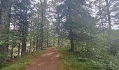 Excursión Senderismo Le Valtin - VOSGES 2023 - Sentier des Roches - Photo 11