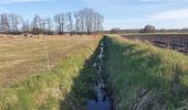 Tour Zu Fuß Rotenburg - Nordpfad 'Wümmeniederung' - Photo 4