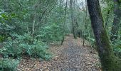 Randonnée Marche Méounes-lès-Montrieux - MONTRIEUX LE GAPEAU - Photo 4