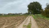 Tour Wandern Bierbeek - Bierbeek 23 km 2020 - Photo 4