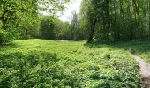 Tour Zu Fuß Unbekannt - Culmberg-Steinkreuz-Jenzig-Fuchsturm-Forsthaus-Papiermühle - Photo 1