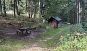 Tocht  Neubois - Neubois château du falkenbourg  - Photo 3