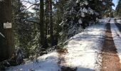 Trail Walking Saint-Dié-des-Vosges - Ormont 16kM - Photo 3
