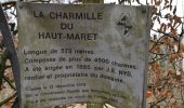 Tour Wandern Theux - 20240105 - La Charmille 7.8 Km - Photo 19