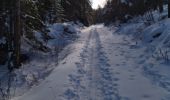 Tocht Stappen Saint-Martin-en-Vercors - 26 tourtre zels - Photo 1