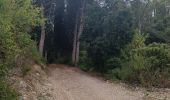 Trail Walking Moux - Sur les pas de Roland - Signal d'Alaric - La Caune  - Photo 18