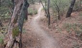 Trail Walking Velleron - velleron 1 - Photo 15
