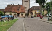 Excursión Senderismo Ribeauvillé - boucle ribeauvillé-château St Ulrich-carrefour du cerisier noir-bergheim-ribeauvillé - Photo 1