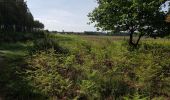 Trail Walking Rion-des-Landes - Perrin, Lamandit, trapot, mineur, nabout, pichegru, tourlères -  8.3 - Photo 1