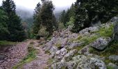 Tour Wandern Urbeis - Les deux lacs - Photo 11