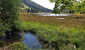 Excursión Bici de montaña Gérardmer - Gérardmer Le Honneck - Photo 2