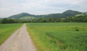 Tocht Te voet Poppenhausen - Poppenhausen - Rhön-Rundweg 5 - Photo 6