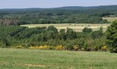 Tocht Stappen Houffalize - rando wibrin 5-06-2023 - Photo 5