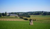 Randonnée Marche Durbuy - SityTrail - Ozo-Izier - Boucle immersive agricole et touristique - A la découverte des fromages d'Ozo - Photo 1