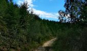 Tour Wandern Eupen - Promenade de la forêt des ducs   - Photo 3