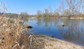 Trail Walking Monétay-sur-Allier - la boire de Monetay + l Trail Walking Monétay-sur-Allier - la boire de Monetay + l