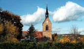 Tocht Te voet Sangerhausen - DE-Grüner Balken - Photo 1