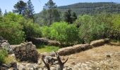 Trail On foot Mate Yehuda Regional Council - Nahal Sorek - Photo 6