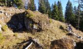 Percorso A piedi Lozzo di Cadore - Anello dei Forti - Photo 1