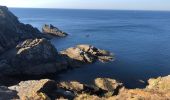 Tour Wandern Groix - Pen Men Locmaria  - Photo 14