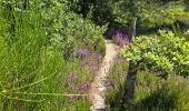 Tour Wandern Milly-la-Forêt - Milly-la-Forêt - Forêt domaniale des Trois pignons - Curiosités  - Photo 11