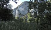 Tour Zu Fuß Sasca Montană - Sasca Română – Cheile Nerei (red triangle) - Photo 2