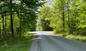 Excursión Senderismo Compiègne - en Forêt de Compiègne_50_les Routes des Beaux Monts, de Morpigny et des Nymphes - Photo 4