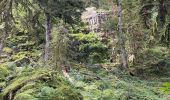 Randonnée Marche Thiéfosse - Gorges de crosery  - Photo 5