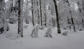 Randonnée Raquettes à neige Ventron - 20210124 - Col-Oderen - Chalet Forgoutte - Photo 2