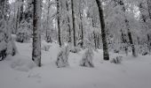 Tocht Sneeuwschoenen Ventron - 20210124 - Col-Oderen - Christian Forgoutte - Photo 2