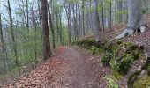 Trail Walking Aywaille - autour de dieupart et sougné par le 2 versants - 2e version - Photo 5