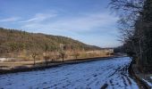 Tour Zu Fuß Illschwang - Illschwang Wanderweg 5 - Photo 5