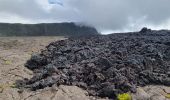 Tour Wandern Sainte-Rose - jour 11 montée Fournaise. - Photo 4