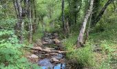 Tocht Stappen Le Cannet-des-Maures - z le lac des escarcets 08-06-21 - Photo 4