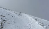 Trail Snowshoes Saint-Martin-Vésubie - Col de Fremamorte hiver - Photo 4