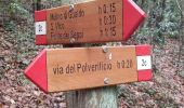 Tour Zu Fuß Sesto Fiorentino - Sentiero CAI 2C - Sez. Sesto Fiorentino - Photo 10