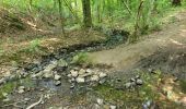 Trail Walking Fosses-la-Ville - Vitrival 030625 - Photo 7