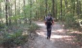 Tour Wandern Lyons-la-Forêt - Lyons-la-Forêt - Après-midi  - Photo 2