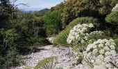 Tour Wandern Cheval-Blanc - Rochers de la Croix de fer par la Combe de l Euse - Photo 2