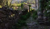 Trail Walking Saint-Martin-de-l'Arçon - le Caroux - Photo 2