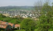 Tour Zu Fuß Liestal - Augst-Rankhof-Büchlihau- Chapf - Photo 4