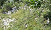 Tocht Stappen Sainte-Marie-du-Mont - col de l'Alpes - Photo 9