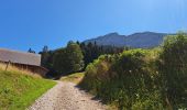 Tocht Stappen Bellecombe-en-Bauges - Tour de BancPlat, Dent des portes en partant du petit reposoir  - Photo 18