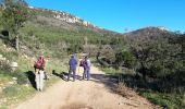 Excursión Senderismo Cuers - Barres de Cuers  - Photo 1